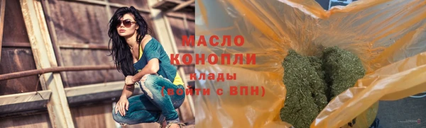 дживик Верхний Тагил