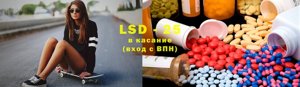 дживик Верхний Тагил