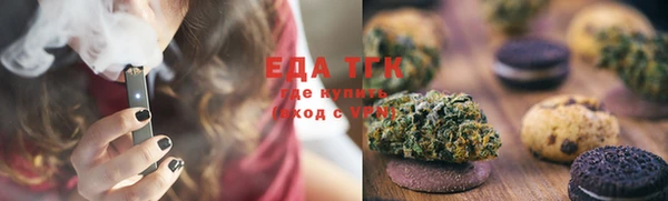 дживик Верхний Тагил