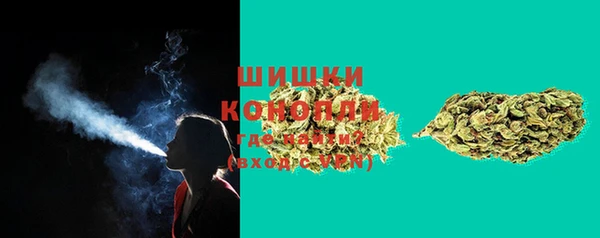 PSILOCYBIN Пестово