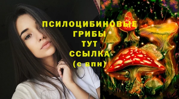 дживик Верхний Тагил