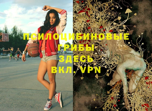 винт Верея