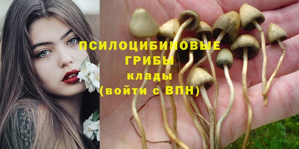 винт Верея