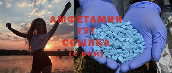 дживик Верхний Тагил
